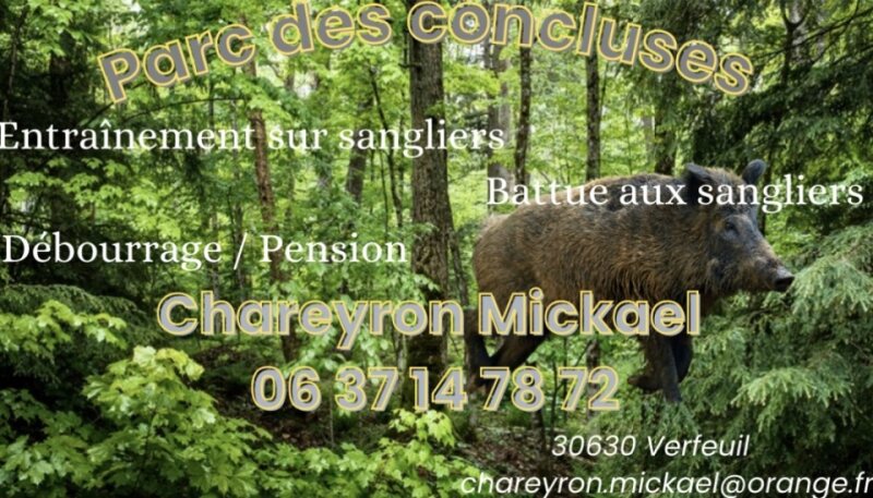 concluses2 width=